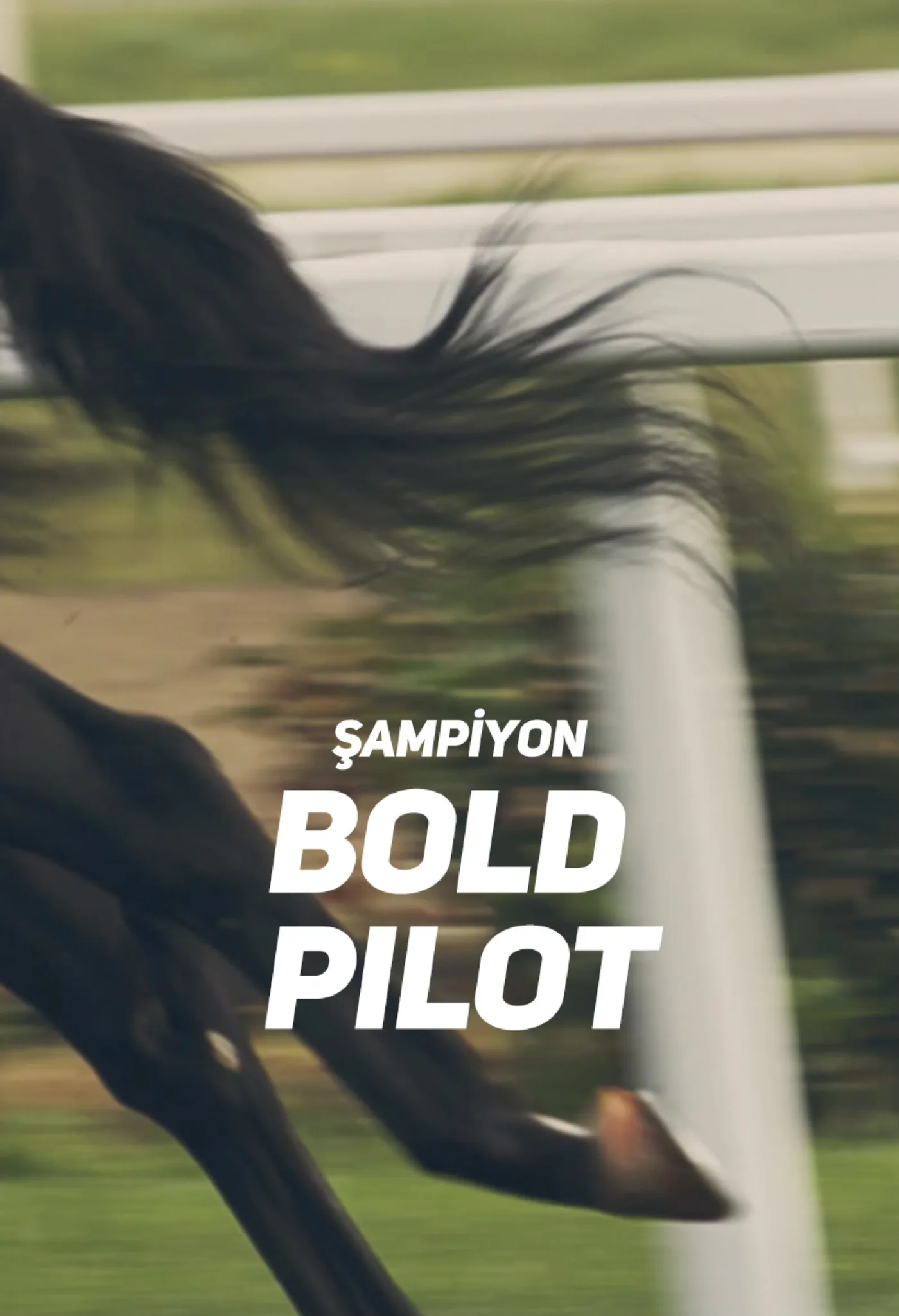 Şampiyon: Bold Pilot