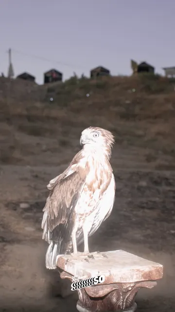 barajyapılabilirhasankeyf
