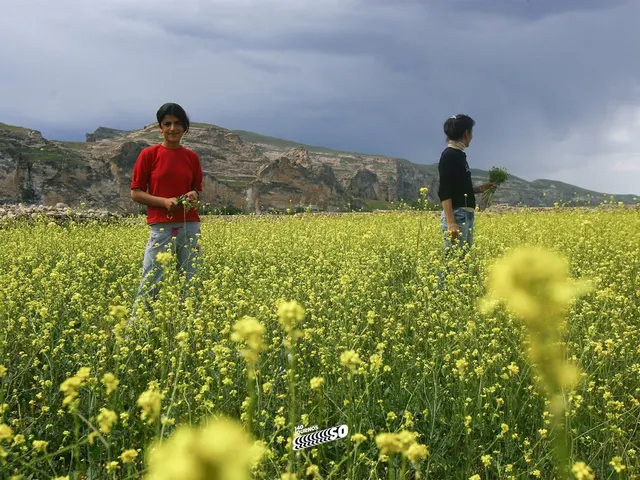 barajyapılabilirhasankeyf