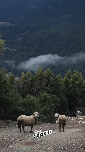 başkabirhayat mümkün