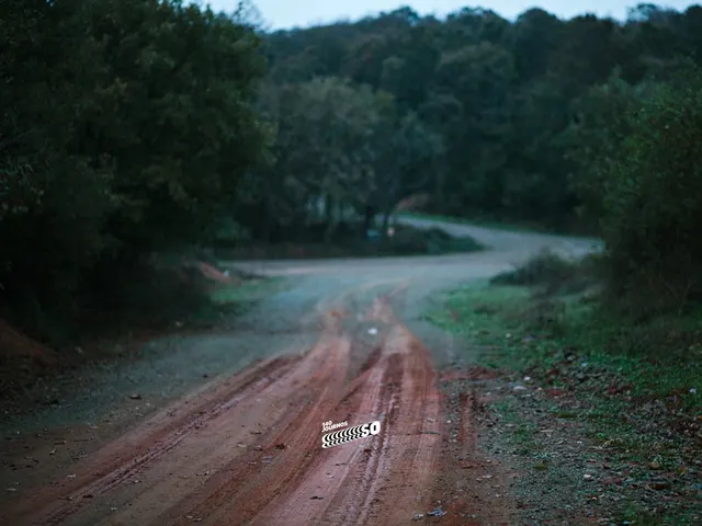 kuşlarınhatrına