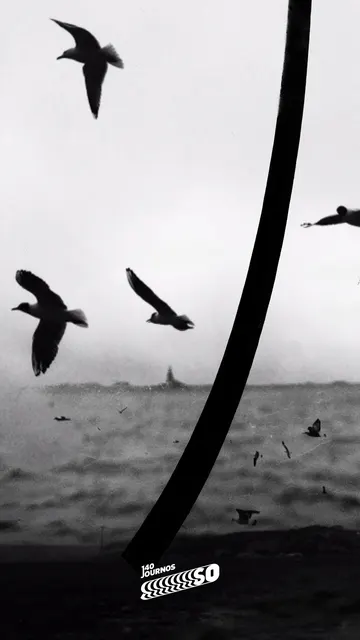 provoke