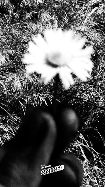 provoke