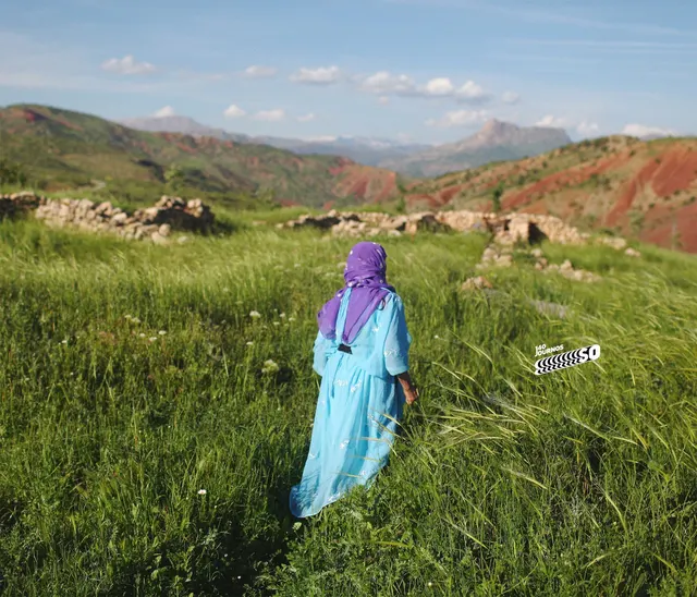 şimdinereye