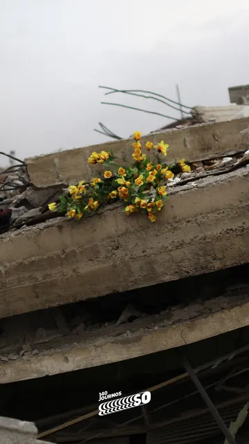vanyıkımınportesi