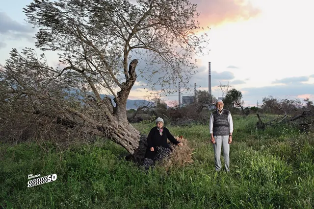 yırca